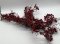 Zweig, rote Beeren auf braunen Drahtzweig, Höhe 70cm