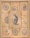 P- Bild gerahmt, Porzellan, blau-weiss, Teller, Dose asiatisches Motiv, heller Kunststoffrahmen
