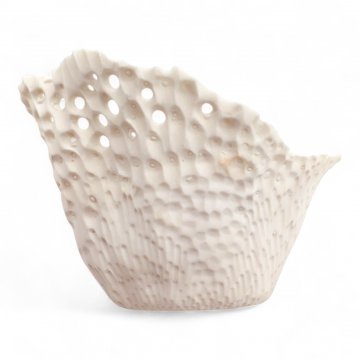 Schale AKOYA PEARLS - PAUA HOCH 7, Porzellan weiß glasiert, Unterseite mattweiß - einseitiger erhöhter Rand löchrige Oberfläche, ø12xH15 - FELICITHAS ARNDT