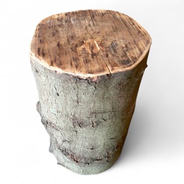 Hocker, Baumstamm, Ahorn mit Rinde, Schnittfläche geschliffen, H 45, Ø 28cm, ca. 20 kg