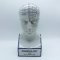 Kopf, Medizinisch, Porzellan, PHRENOLOGY, L.N.Fowler