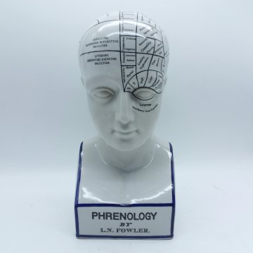 Kopf, Medizinisch, Porzellan, PHRENOLOGY, L.N.Fowler