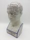 Kopf, Medizinisch, Porzellan, PHRENOLOGY, L.N.Fowler