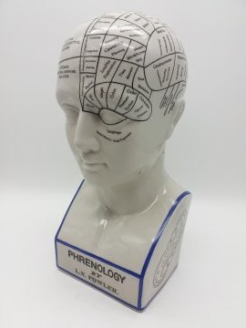 Kopf, Medizinisch, Porzellan, PHRENOLOGY, L.N.Fowler
