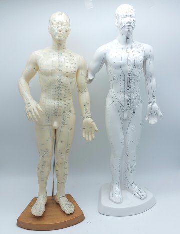 Medizinische Meridiane Akupunktur Figur, Porzellan ODER Gummi