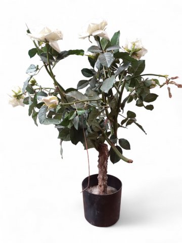 Rosenstrauß, weiß, getopft, h=74cm