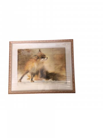 Bild unter Glas, Holzrahmen in gold, Fuchs, (Jürgen Schulz)