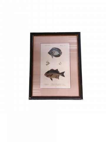 Bild divers: Bild u. Glas, 20-40cm
