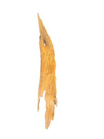 Treibholz / Wurzel, L: 195cm