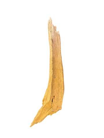 Treibholz / Wurzel, L: 195cm