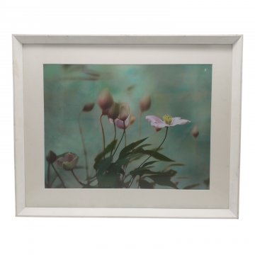 Bild "Fleurs rectangulaires" rosa Blumen, hinter Glas, Passepartout, weißer Holzrahmen 52x40 cm, RECHTE FTA