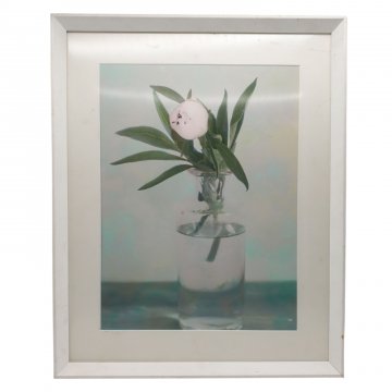 Bild &quot;Fleurs rectangulaires&quot; rosa Pfingstrose, hinter Glas, Passepartout, weißer Holzrahmen 40x52 cm