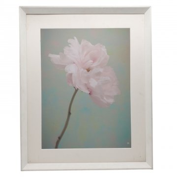 Bild &quot;Fleurs rectangulaires&quot; rosa Pfingstrose, hinter Glas, Passepartout, weißer Holzrahmen 40x52 cm