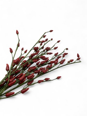 P-Schnittblume, Zweig, Chillis, Höhe 70cm