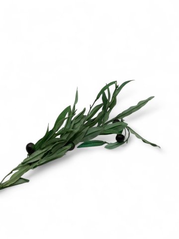 P-Schnittblume, Zweig, Olive mit Oliven, Höhe 70cm