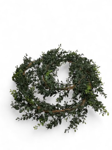 P-Pflanze, Buchsbaumranke, grün/braun, Länge 120cm-160cm