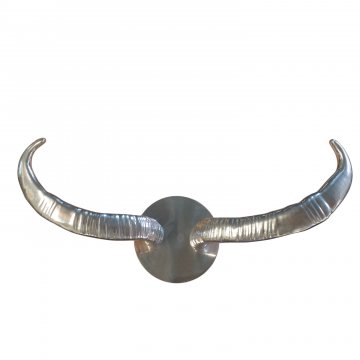 Geweih / Hörner, Texas Longhorn, Chrom