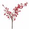 Zweig, rote Beeren auf braunen Drahtzweig, Höhe 70cm