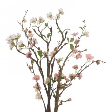 Zweig, Apfelblüte, weiße, rosa Blüten, Länge 80cm