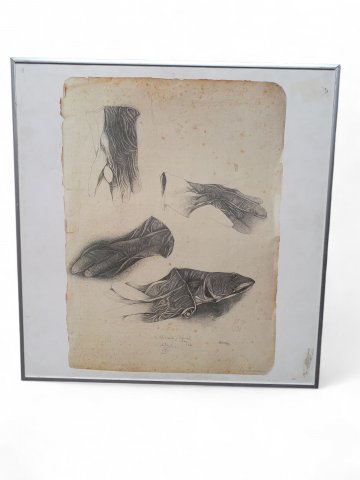 Bild, Druck ANATOMIE HANDSCHUH, im Wechselrahmen Alu silber, 51,5 x50 cm RECHTE UNKLAR !