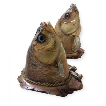 Tierpräperat, Fischkopf, Karpfen, auf Holzplatte