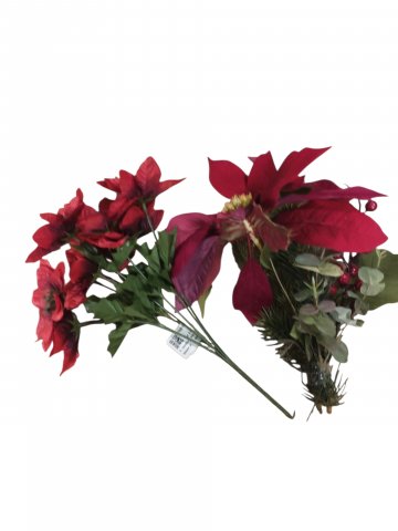 P- Schnittblume, Weihnachtsstern, rot, kurz