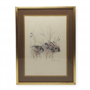 Colorierte Bleistiftzeichnung TIERE Kaninchen, goldfarbenen Kunststoffrahmen, 40x50cm, braunes Passepartous unter Glas