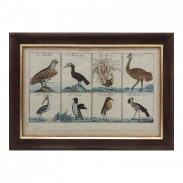 Bild 34x24cm, Zeichnung, Vögel, brauner Holzrahmen