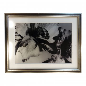 Fotografie s/w Silbergelatine Abzug &quot;Blüten&quot;, im Silberrahmen mit Passepartout unter Glas