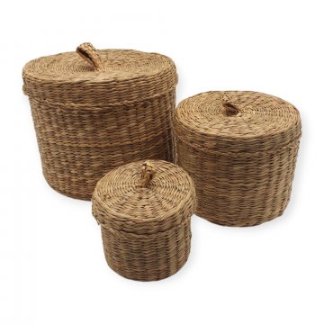 Deckeldose 3 in 1, Bast