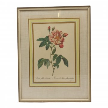 Bild, Holzrahmen in weiß, Rosen am Zweig, Sig. 25 x 33 cm.