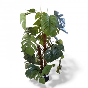 Kunstpflanze, MONSTERA, 2-stämmig (Bastumwickelt), H ca. 110