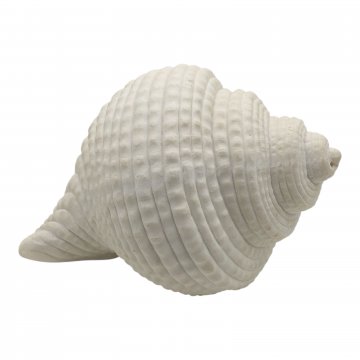 Muschel Deko Sea Snail weiß Keramik KARE