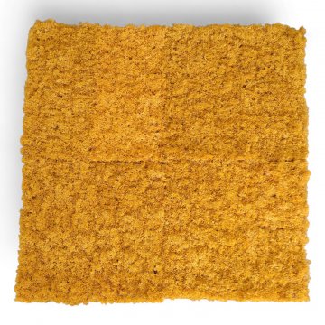 Kunstpflanze,Wandobjekt,MOOS,senfgelb,auf Kunststoffgitter, 50x50cm