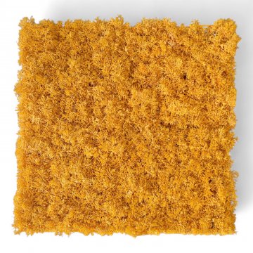 Kunstpflanze,Wandobjekt,MOOS,senfgelb,auf Kunststoffgitter, 50x50cm