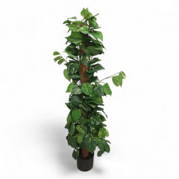 Kunstpflanze,POTHOS,Stamm mit Kokosfasern, umrankt von kleinen Blättern, H ca. 150