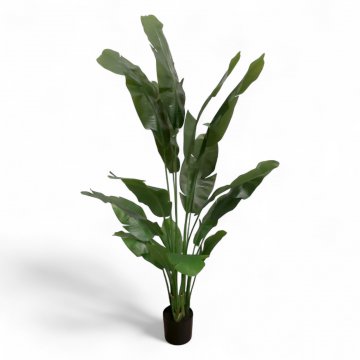 Kunstpflanze,STRELITZIA, 17 unterschiedlich hohe Triebe mit großen Blättern, H ca.200cm