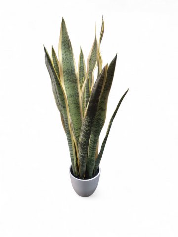 Kunstpflanze ZIMMERPFLANZE, Blätter grün,gelb, weiss getopft, Pflanze ø22 cm, H=70 cm 