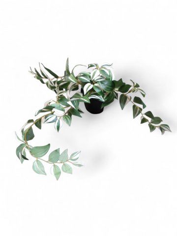 Kunstpflanze HÄNGEPFLANZE, Blätter grün,weiss, schwarz getopft, Pflanze ø 30cm, H=22 cm 