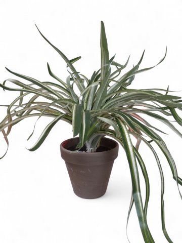Kunstpflanze GRAS, Blattform spitz grün, weiß, Übertopf braun getopft, H=30cm