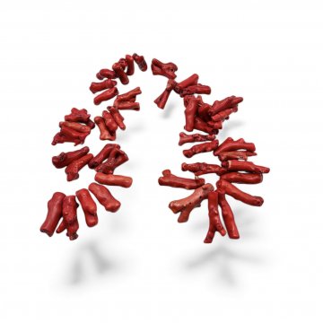 P- Kette, Echte Koralle, rot, massive Ausführung, Ø25cm