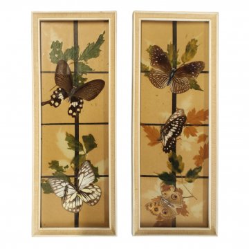 Bild, gerahmt, quadratisch, 3 Schmetterlinge, Collage, Braun, 30cm x 12cm