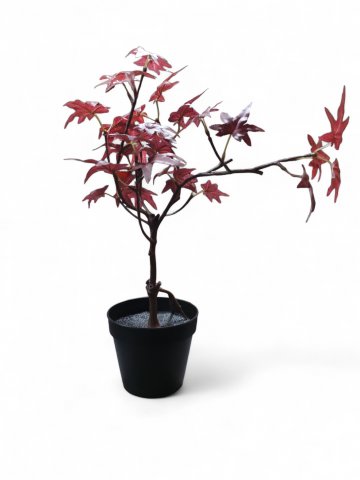 KunspflanzeAHORN, getopft, H ca. 42 cm,B 30 cm, rot, schwarzer Topf