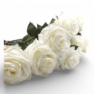 P-Schnittblume, Rose, div. Farben und Gattungen, Höhe 50-70cm