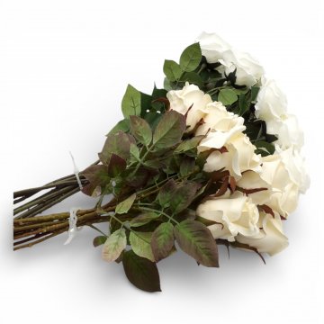 P-Schnittblume, Rose, div. Farben und Gattungen, Höhe 50-70cm