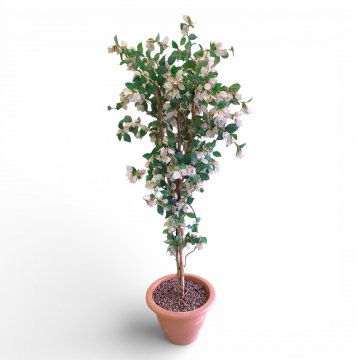 Kunstpflanze, Bougainvillea, Blten wei, bertopf rot, H180