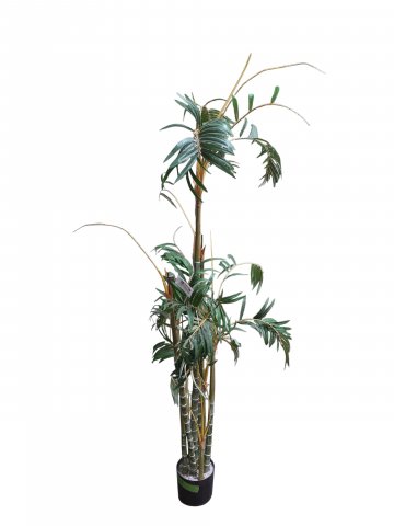 Kunstpflanze Bambus Palme, fächerförmige Blätter, grüner Stamm, h 180 cm, Zweige fehlen, stark beansprucht!