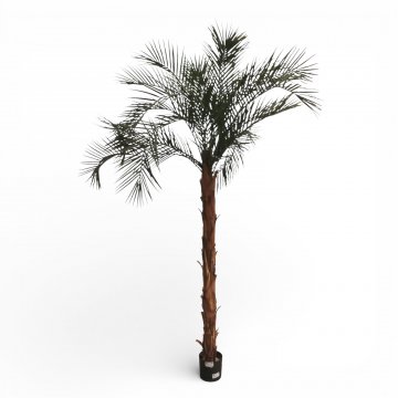 Kunstpflanze, PHÖNIX PALME, 1-stämmig, Wedel Kunststoff dunkelgrün, H ca.225cm