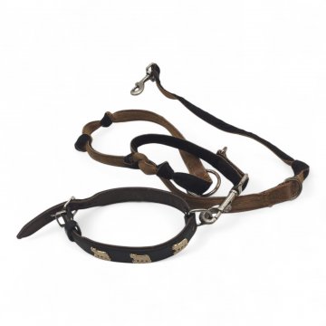 Hundeleine, Nylonband, Karabinerhaken