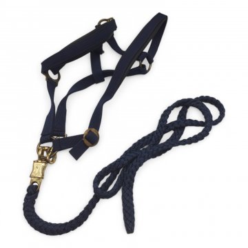 Hundeleine / Pferde Dressurleine, braun, Messinghaken